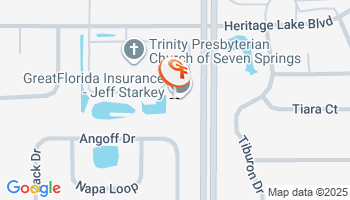 New Port Richey, FL Flood Insurance Agency